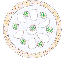 コッカボッカのピザ「クワトロフォルマッジ」の画像